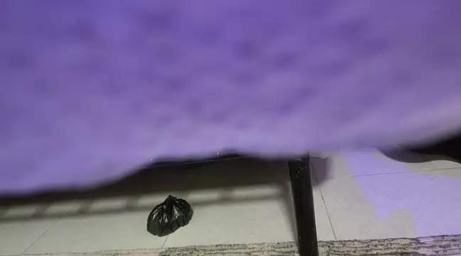 Snapshot of sweet-greedy chatting on February 6, 2025, 5:19 pm sweet-greedy online show from February 6, 2025, 5:19 pm