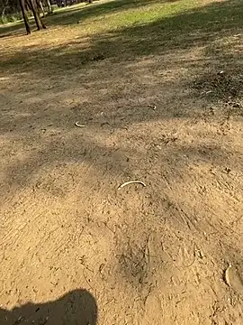 Snapshot of Cum_on_your_tityyy chatting on January 13, 2026, 9:03 am Cum on your tityyy online show from January 13, 2026, 9:03 am