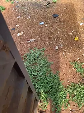 Black-mamba-madingo online show from April 4, 2026, 8:23 am