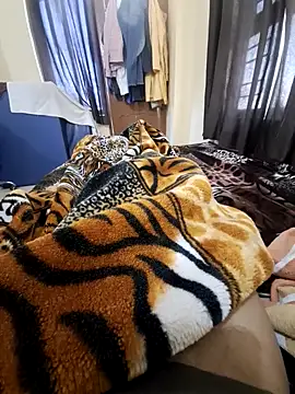 villagb12 online show from February 14, 2025, 4:15 am