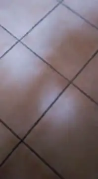 Snapshot of ZorraidaGiroNina chatting on February 3, 2025, 4:10 pm ZorraidaGiroNina online show from February 3, 2025, 4:10 pm