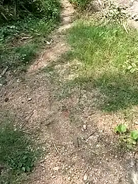 TamizhanKishwin7 online show from November 9, 2025, 8:01 am