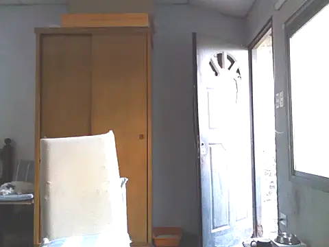 nicedick bro online show from January 19, 2025, 10:28 am