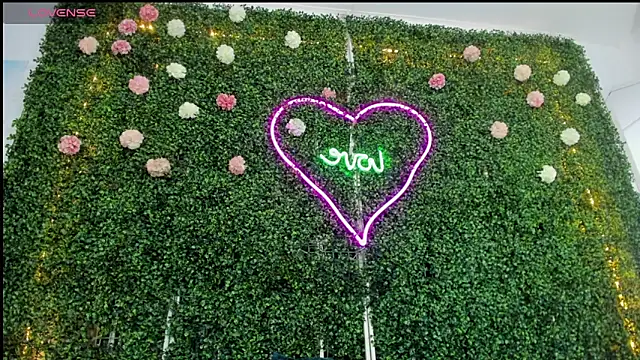 emy 0 online show from January 4, 2025, 6:09 am