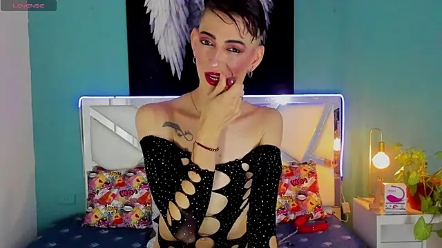 dominic thailor online show from March 4, 2025, 2:10 pm