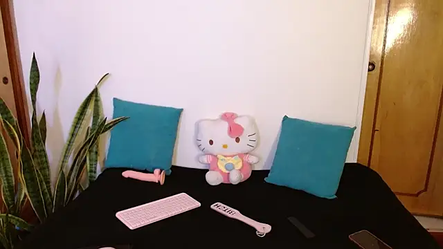 Snapshot of kittycatw chatting on December 14, 2025, 8:02 pm kittycatw online show from December 14, 2025, 8:02 pm