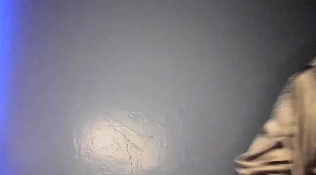 Snapshot of cyberbunnie chatting on January 15, 2025, 9:41 pm cyberbunnie online show from January 15, 2025, 9:41 pm