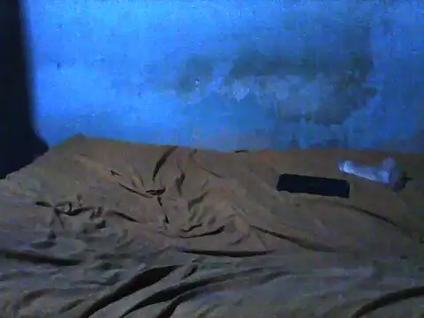 little  joy online show from November 30, 2025, 10:03 pm