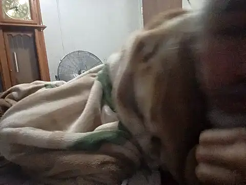 Snapshot of Xoc8_ chatting on February 14, 2026, 9:28 am Xoc8 online show from February 14, 2026, 9:28 am