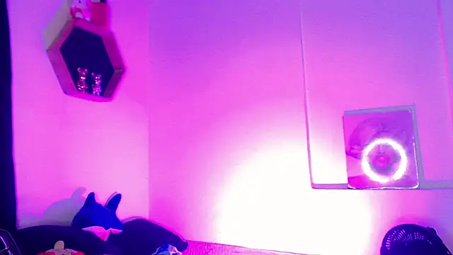 Snapshot of Gorrion__ chatting on March 11, 2026, 3:12 am Gorrion online show from March 11, 2026, 3:12 am