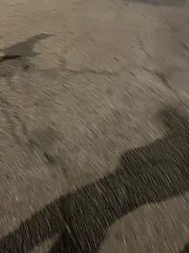 ToAnWTW online show from February 24, 2026, 9:57 pm