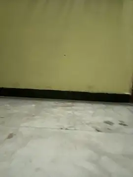 Snapshot of boypussyfist chatting on February 15, 2025, 6:33 pm boypussyfist online show from February 15, 2025, 6:33 pm