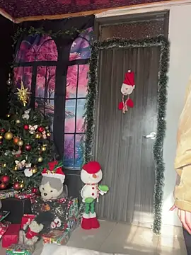  Artemisa X online show from December 28, 2024, 9:08 pm