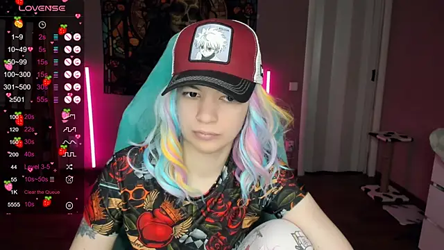 Project hisoka online show from December 29, 2024, 4:27 am