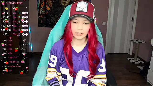 Project hisoka online show from December 30, 2024, 5:44 pm