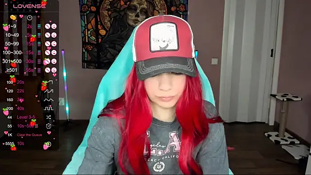 Project hisoka online show from January 1, 2025, 3:13 am