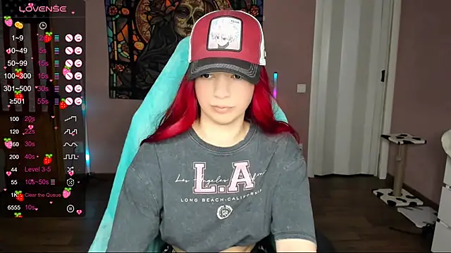 Project hisoka online show from January 1, 2025, 1:37 pm