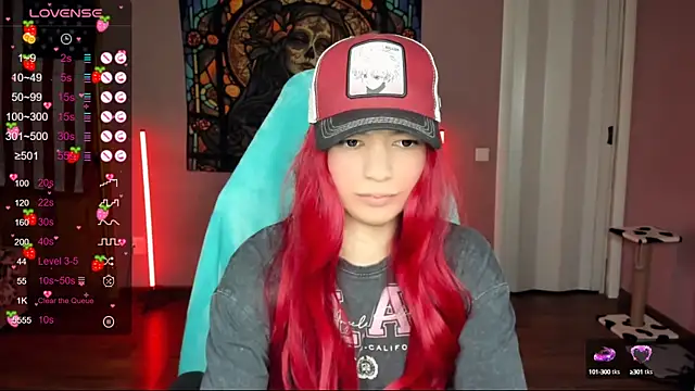 Project hisoka online show from January 3, 2025, 10:41 am