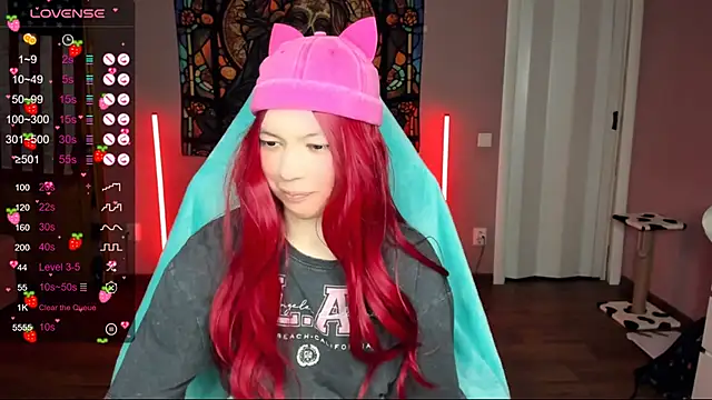 Project hisoka online show from January 5, 2025, 2:52 pm