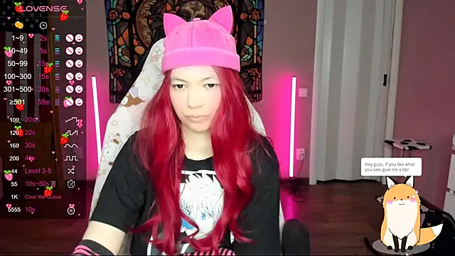 Project hisoka online show from January 10, 2025, 9:34 am