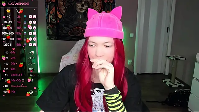 Project hisoka online show from January 11, 2025, 3:52 pm