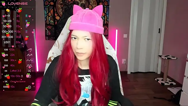 Project hisoka online show from January 12, 2025, 10:02 am