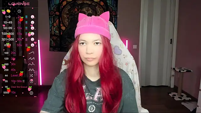 Project hisoka online show from January 17, 2025, 2:29 am