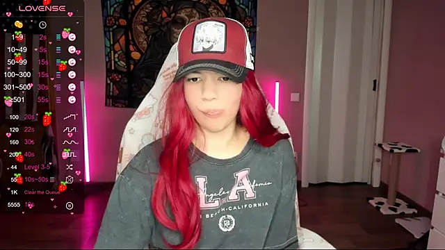 Project hisoka online show from January 17, 2025, 4:04 pm