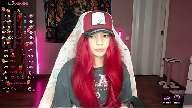 Project hisoka online show from January 17, 2025, 9:17 pm