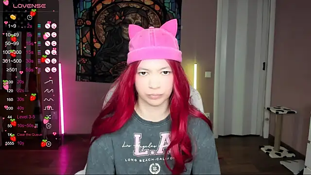 Project hisoka online show from January 19, 2025, 3:39 am