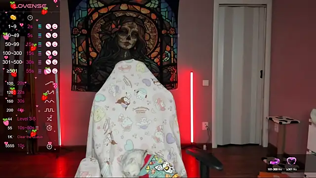 Project hisoka online show from January 25, 2025, 2:03 pm