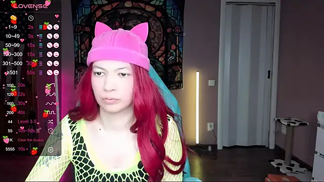 Project hisoka online show from February 1, 2025, 2:47 am