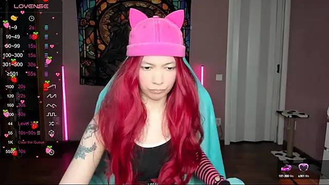 Project hisoka online show from February 1, 2025, 12:47 pm