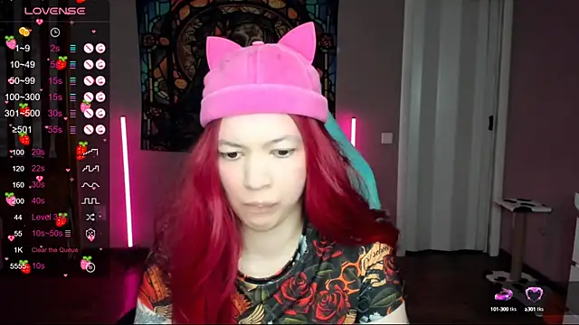 Project hisoka online show from February 24, 2025, 1:21 pm