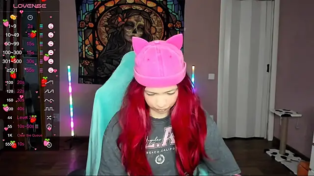 Project hisoka online show from February 25, 2025, 12:34 pm