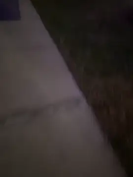 MynameisPaco online show from December 20, 2025, 11:23 pm