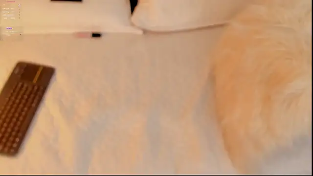 Snapshot of FabianPriince chatting on January 14, 2025, 6:28 pm FabianPriince online show from January 14, 2025, 6:28 pm