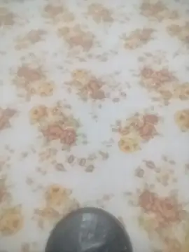 Snapshot of Working- chatting on January 19, 2026, 12:09 pm Working- online show from January 19, 2026, 12:09 pm