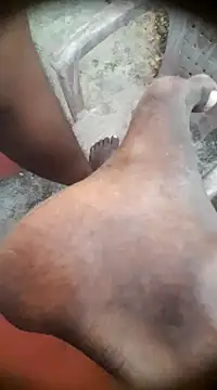 Snapshot of Tamil_boy_age28 chatting on January 14, 2025, 12:24 pm Tamil boy age28 online show from January 14, 2025, 12:24 pm