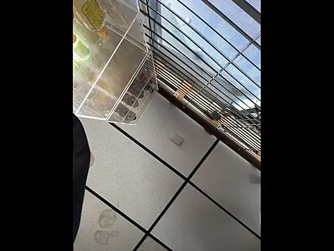 steelwood303 online show from December 21, 2025, 7:54 pm