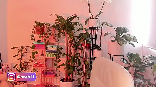 rossth1 online show from October 24, 2025, 7:43 pm