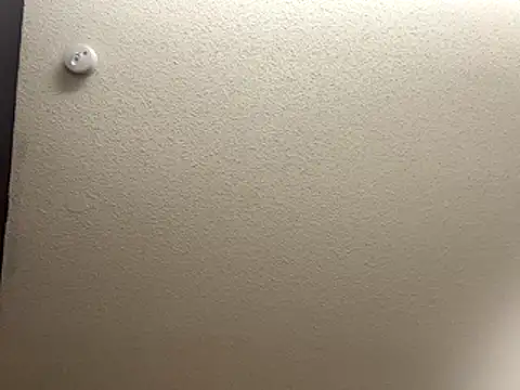 Snapshot of Bigbootylavishh chatting on December 17, 2025, 4:35 pm Bigbootylavishh online show from December 17, 2025, 4:35 pm