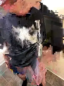 Snapshot of Chuckie_999 chatting on December 17, 2025, 9:21 pm Chuckie 999 online show from December 17, 2025, 9:21 pm