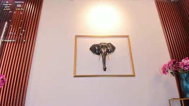 Zayda 1 online show from February 11, 2026, 8:14 pm