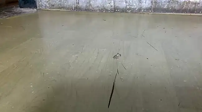 itstherahul online show from February 17, 2025, 7:37 am