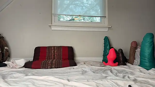 Snapshot of Theonlydreamybull chatting on December 3, 2025, 4:49 pm Theonlydreamybull online show from December 3, 2025, 4:49 pm