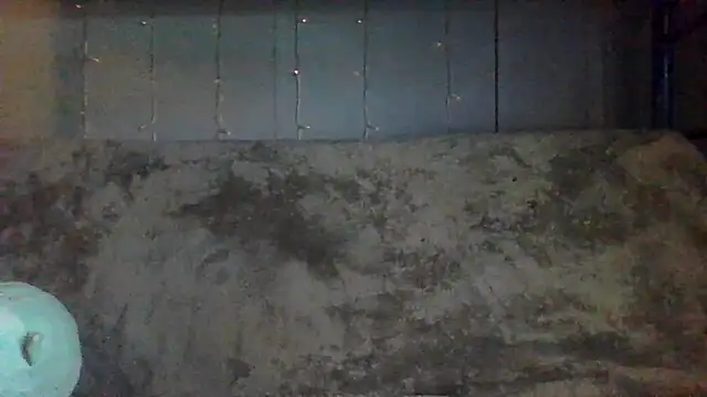 velvetta  online show from April 9, 2026, 6:24 pm