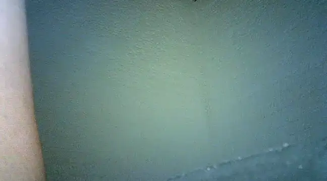 Snapshot of Bellabeltrann chatting on January 25, 2025, 9:47 am Bellabeltrann online show from January 25, 2025, 9:47 am