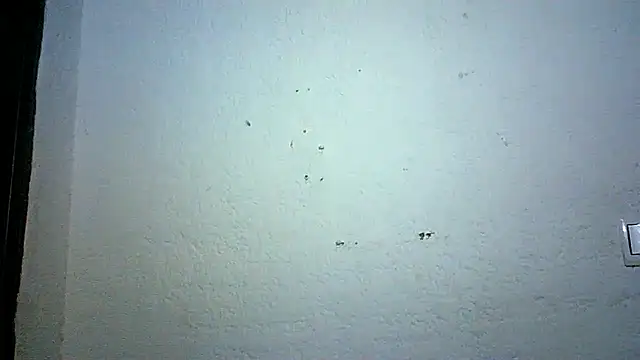 Snapshot of Bellabeltrann chatting on October 3, 2025, 9:12 pm Bellabeltrann online show from October 3, 2025, 9:12 pm