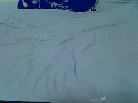 Snapshot of pointy_bloom chatting on April 1, 2026, 11:24 pm pointy bloom online show from April 1, 2026, 11:24 pm